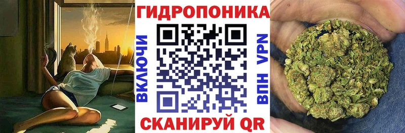 Галлюциногенные грибы Касли